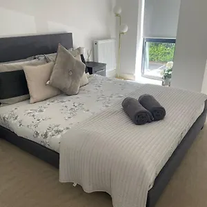 Brand New Luxury With Free Parking And Gym Apartment